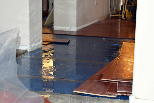 Professional Water Extraction technician working in Leonard, MI